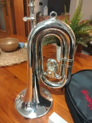 Corneta Honsuy Carmen Plata