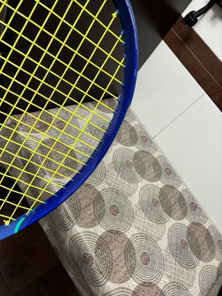Raqueta Yonex Ezone 100