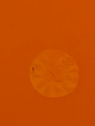 Lekue 12 Moldes Magdalenas Silicona