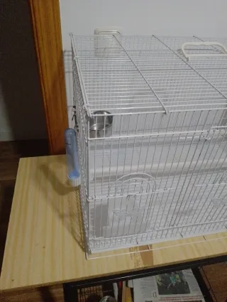 Jaula para pájaros blanca