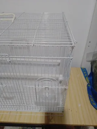 Jaula para pájaros blanca