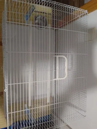 Jaula para pájaros blanca