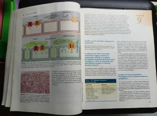 Anatomía. Craig A Canby