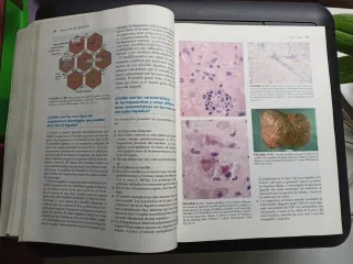 Anatomía. Craig A Canby