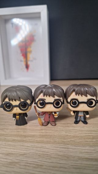 Cuadro Funko Pop Harry Potter Personalizado