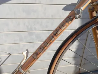 Bicicleta Peliser carretera