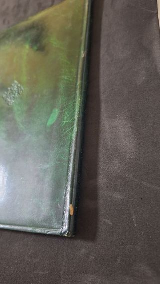 Llibre de Familia 1959