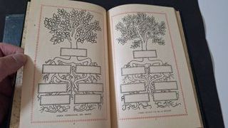 Llibre de Familia 1959