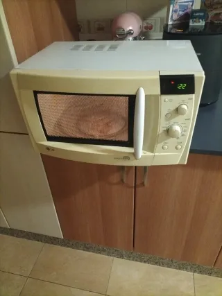 Microondas LG WAVEDOM