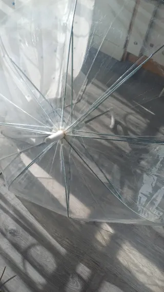 Paraguas transparente