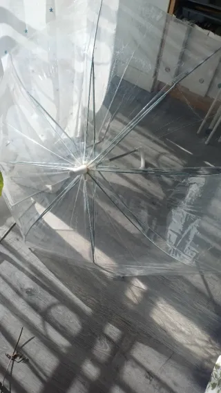 Paraguas transparente
