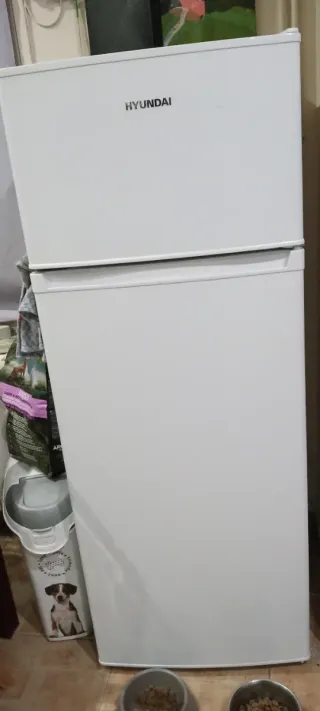 Nevera pequeña blanca , por 150€