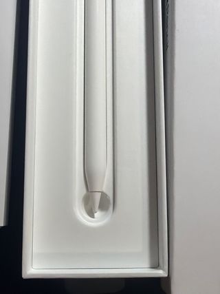 Apple Pencil 1ª Gen + Funda y Recambios