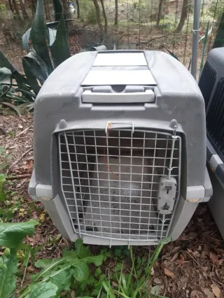 Transportín perro grande