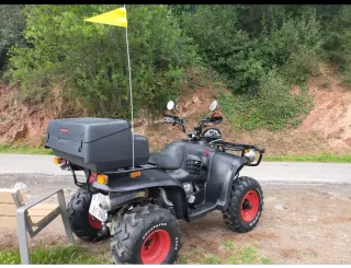 Mástil con bandera para Quad, Buggy, Jeep...