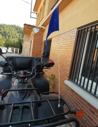 Mástil con bandera para Quad, Buggy, Jeep...