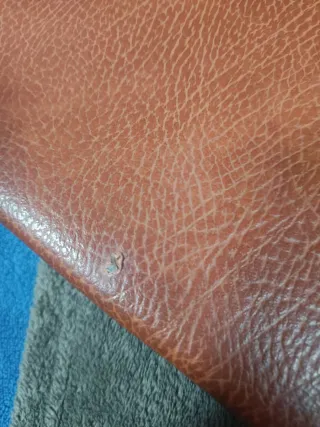 Portafolios de cuero con anillas