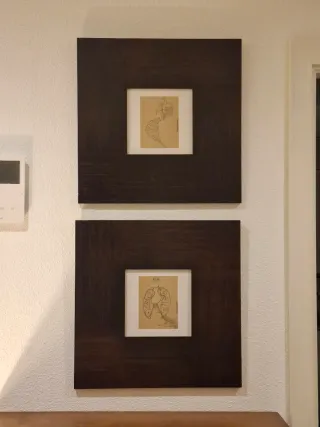 Pareja de cuadros decorativos con marco de madera