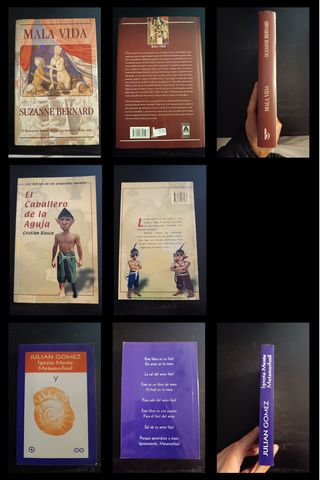 LOTE LIBROS 01