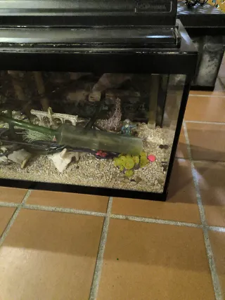Pecera  de 100 litros con filtro, tierra y adornos