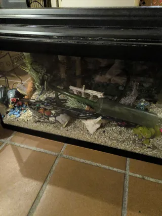 Pecera  de 100 litros con filtro, tierra y adornos