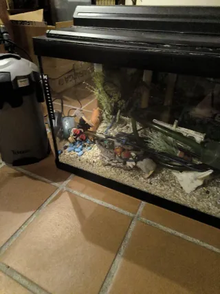 Pecera  de 100 litros con filtro, tierra y adornos