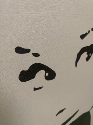 PR0339 - Cuadro Audrey Hepburn