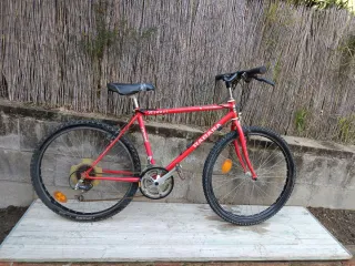 Bicicleta Rabassa Derbi Winner 26"