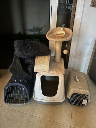 Pack Accesorios Gatos: Transportines, Arenero, Ras