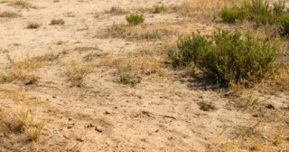 TERRENO EN VENTA EN CONIL CON AGUA Y LUZ