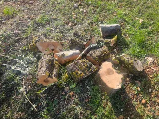 Leña bien troceada ideal para chimeneas, estufas..