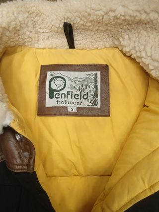PLUMIFERO PENFIELD