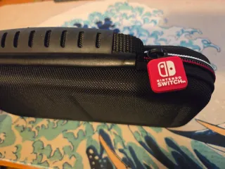 Nintendo Switch travel case
