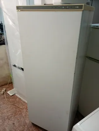 Congelador vertical Aspes