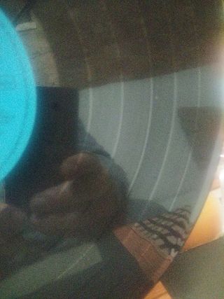 Vinilo Adamo en Español