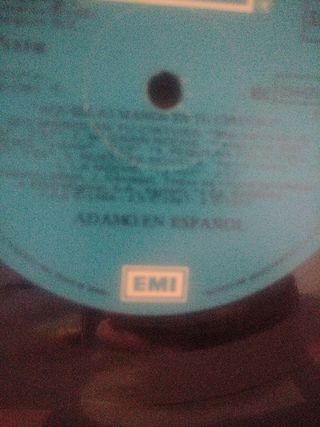 Vinilo Adamo en Español