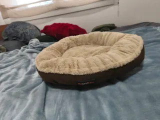 Cama para perro Feandrea 55cm lavable