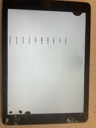 Apple iPad Air 2 Plata