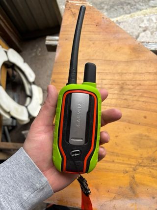 Garmin Alpha 100 + Collares T15 y T20