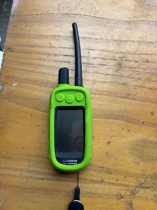 Garmin Alpha 100 + Collares T15 y T20