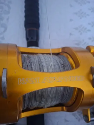 Cañas de pescar con carretes Penn