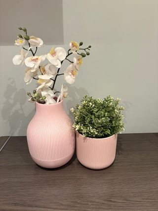 Conjunto Decorativo Flor y Planta