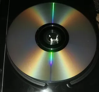 DVD Novio de Alquiler (Picture Perfect)