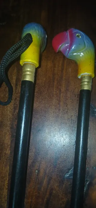 Bastoni da passeggio decorativi testa pappagallo