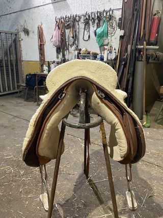 Montura Lucas de borrego