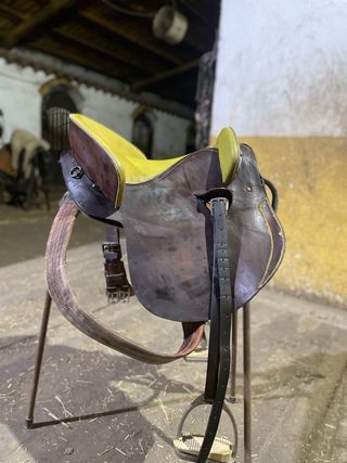 Montura de caballo española