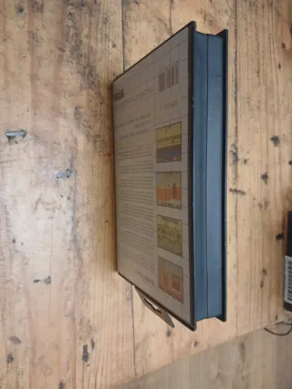 Double Dragon Master System Sega