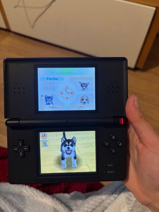 Nintendo DS Lite Negra y Azul