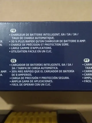 Caricabatterie intelligente per auto e moto