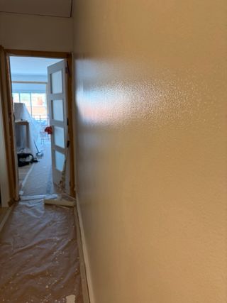 Pintor profesional económico Barcelona